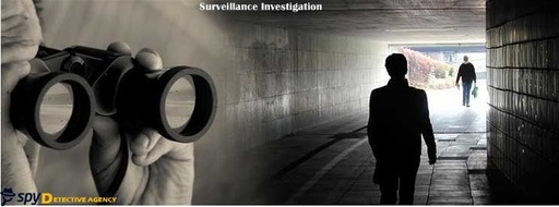 Surveillance Investigation.jpg