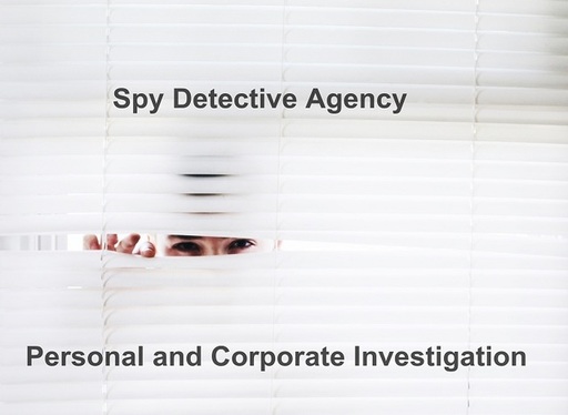Expert-Private-Detective-Agency-in-Delhi-1.jpg